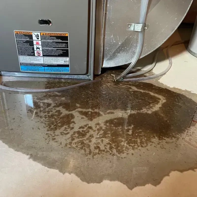 Appliance Leak Cleanup in Sinton, TX